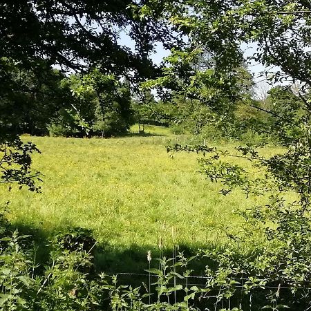 Gite Le Moulin Saint-Vaast-sur-Seulles Exteriér fotografie