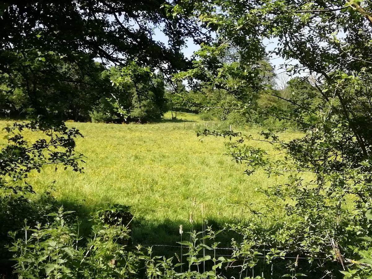 Gite Le Moulin Saint-Vaast-sur-Seulles Exteriér fotografie